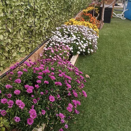 Escapada De Ciudad Al Aire Libre Con Jardin Privado, Tranquilo Y Romantico