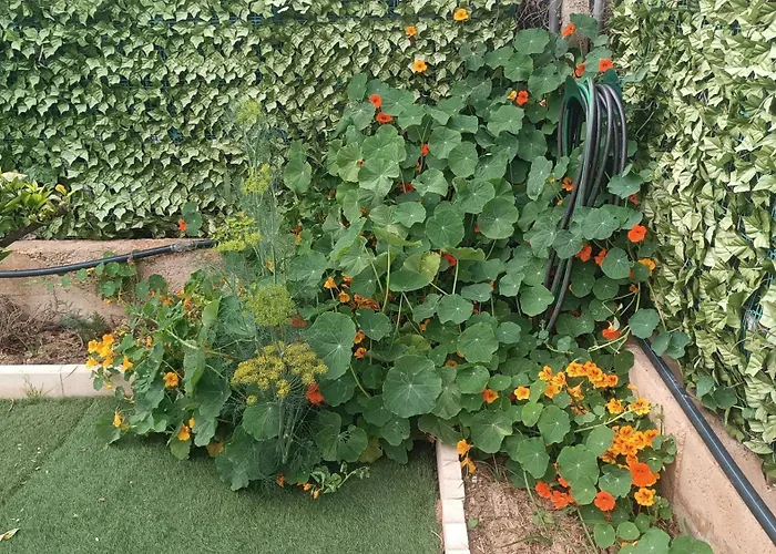 Escapada De Ciudad Al Aire Libre Con Jardin Privado, Tranquilo Y Romantico Apartmán