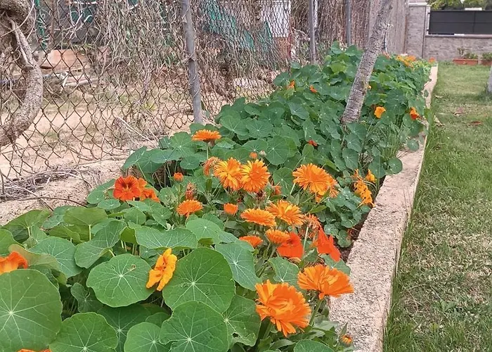 Apartmán Escapada De Ciudad Al Aire Libre Con Jardin Privado, Tranquilo Y Romantico