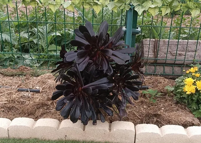 Escapada De Ciudad Al Aire Libre Con Jardin Privado, Tranquilo Y Romantico Apartmán