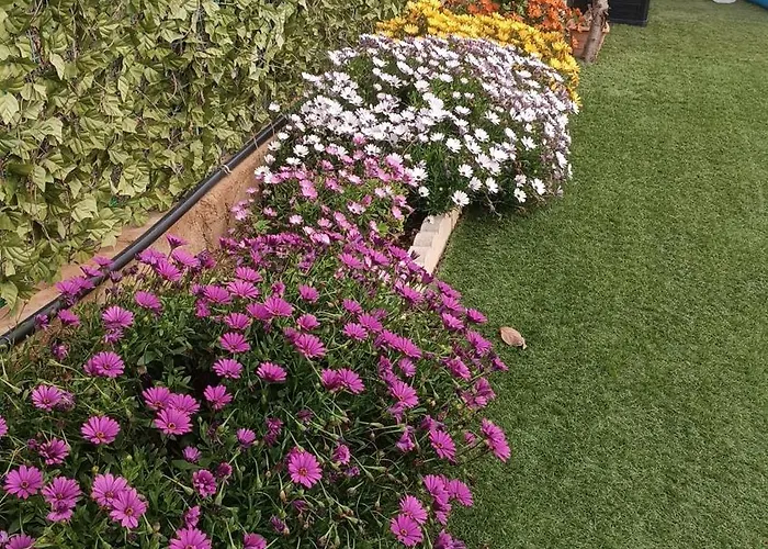 Escapada De Ciudad Al Aire Libre Con Jardin Privado, Tranquilo Y Romantico