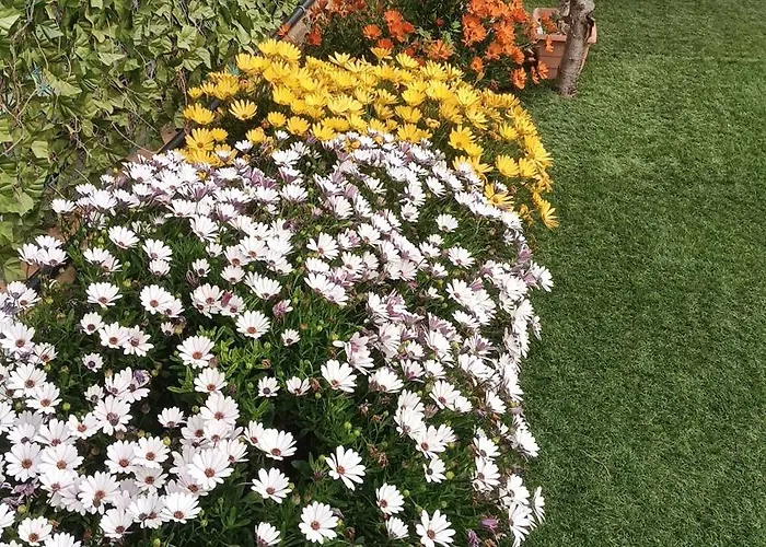 Escapada De Ciudad Al Aire Libre Con Jardin Privado, Tranquilo Y Romantico Calafell