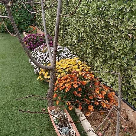 Escapada De Ciudad Al Aire Libre דירה *