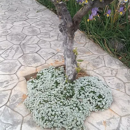 דירה Escapada De Ciudad Al Aire Libre